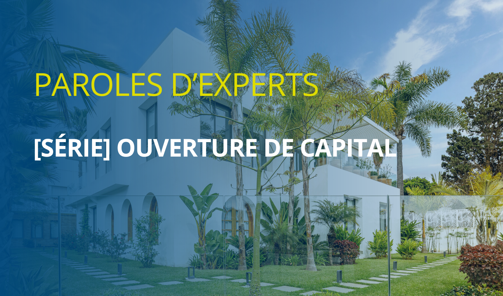 Série "Ouverture de capital" - Toutes les épisodes 